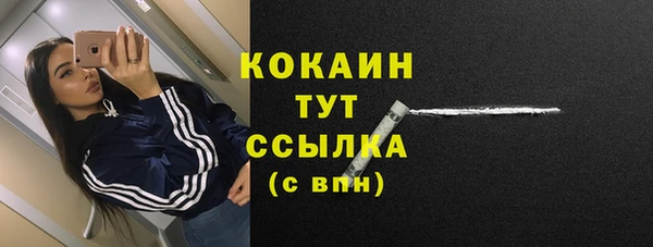 прущие крисы Арсеньев