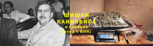 прущие крисы Арсеньев