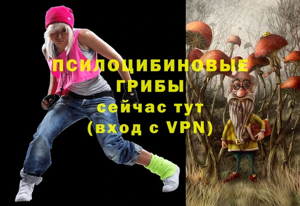 Альфа ПВП Аркадак