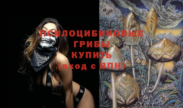 Альфа ПВП Аркадак