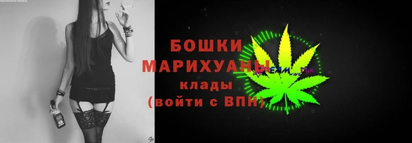 Альфа ПВП Аркадак