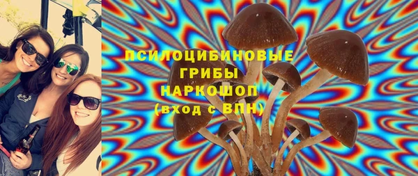 прущие крисы Арсеньев