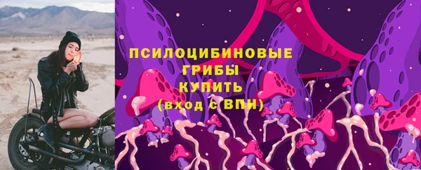 Альфа ПВП Аркадак