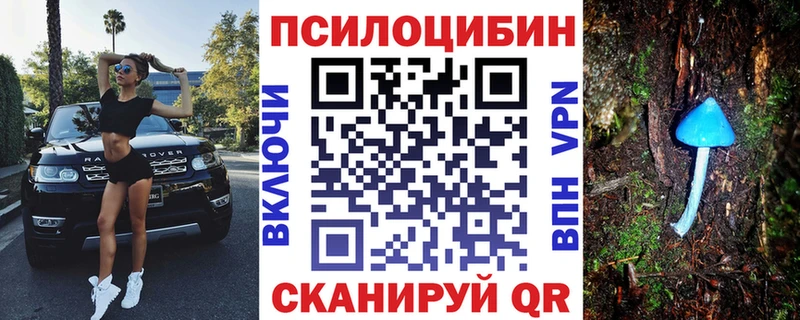 MEGA ссылка  Калининск  Галлюциногенные грибы MAGIC MUSHROOMS 